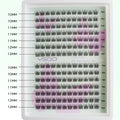 Cluster Eyelash Extension natural  14P-Mix